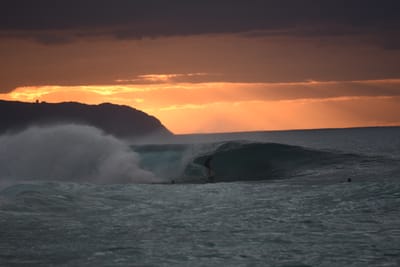 DSC_2420.JPG