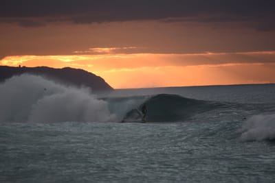 DSC_2423.JPG