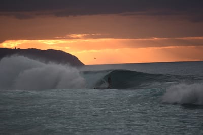 DSC_2424.JPG
