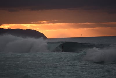 DSC_2425.JPG