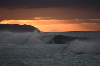 DSC_2426.JPG