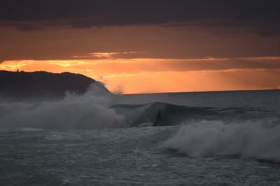 DSC_2427.JPG