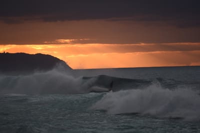 DSC_2428.JPG