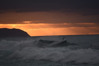 DSC_2431.JPG