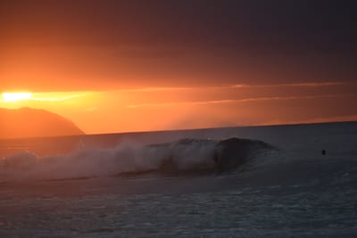 DSC_2466.JPG