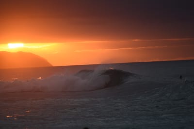 DSC_2469.JPG