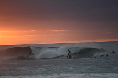 DSC_2470.JPG