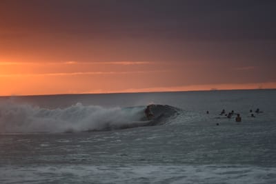 DSC_2474.JPG