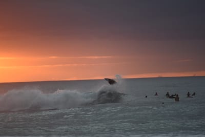DSC_2477.JPG