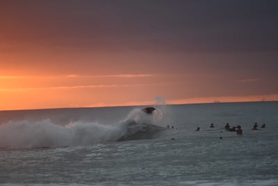 DSC_2478.JPG