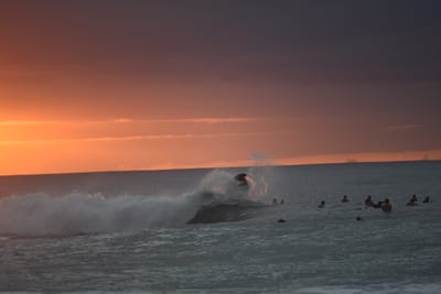 DSC_2479.JPG