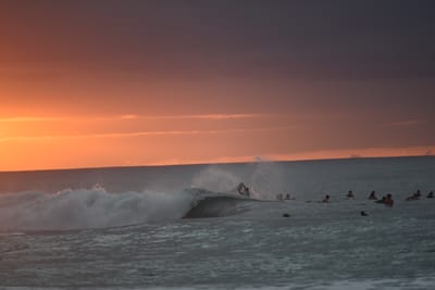 DSC_2480.JPG