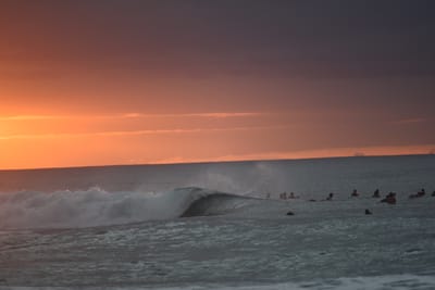 DSC_2481.JPG