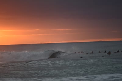 DSC_2482.JPG