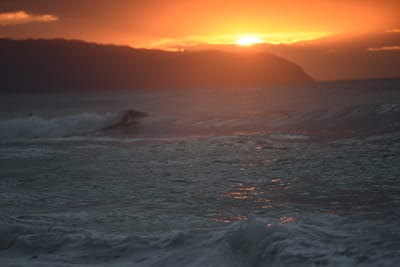 DSC_2483.JPG