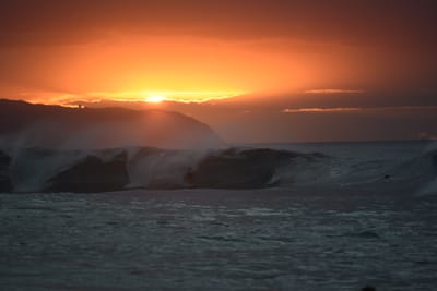 DSC_2484.JPG