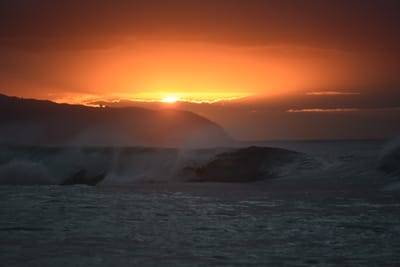 DSC_2485.JPG