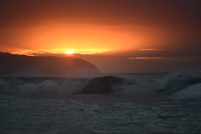DSC_2486.JPG