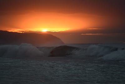 DSC_2487.JPG