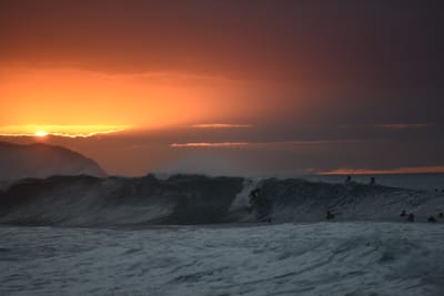 DSC_2499.JPG