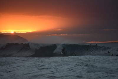 DSC_2501.JPG