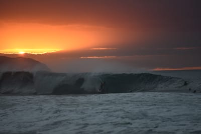 DSC_2502.JPG