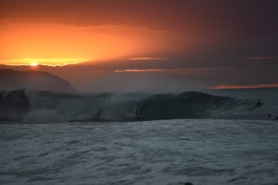 DSC_2503.JPG