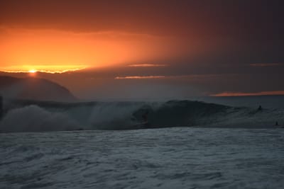 DSC_2504.JPG