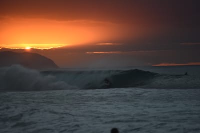 DSC_2505.JPG