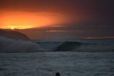 DSC_2506.JPG