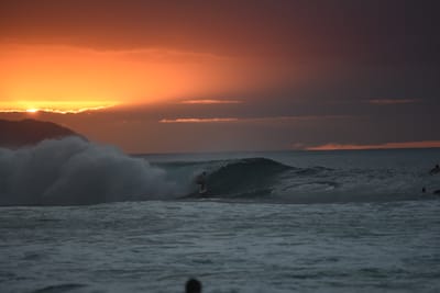 DSC_2508.JPG