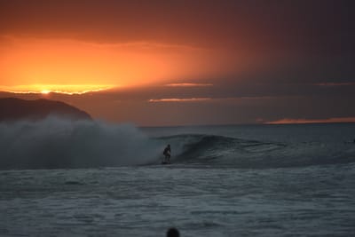DSC_2510.JPG
