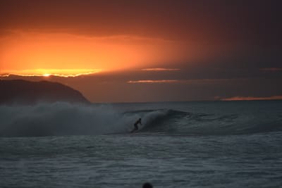 DSC_2511.JPG