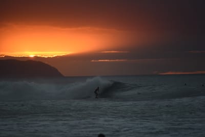 DSC_2512.JPG