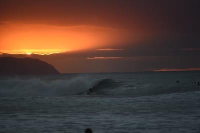 DSC_2513.JPG