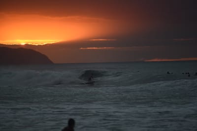 DSC_2514.JPG