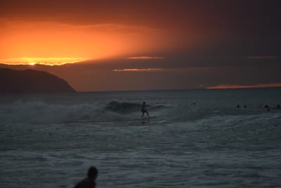 DSC_2515.JPG
