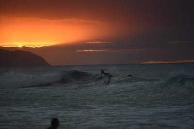 DSC_2517.JPG