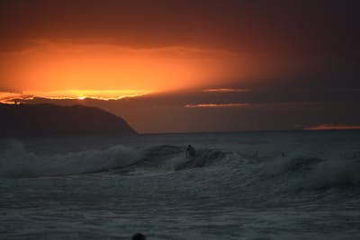 DSC_2518.JPG