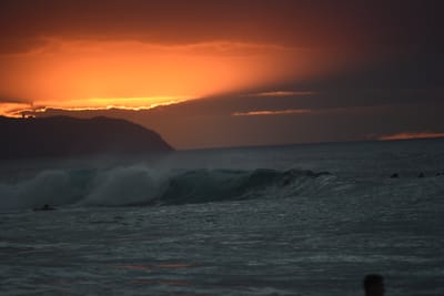 DSC_2519.JPG