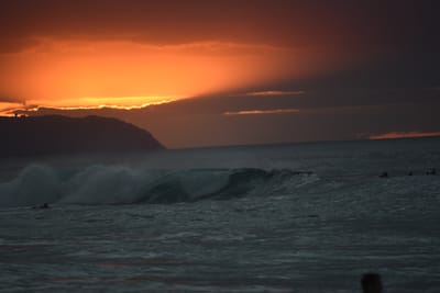 DSC_2520.JPG