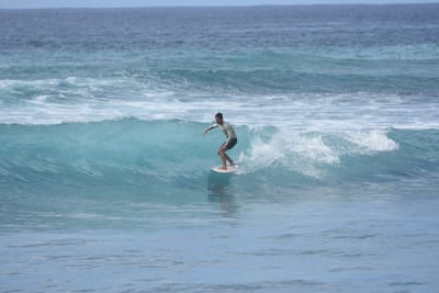 DSC_0003.JPG