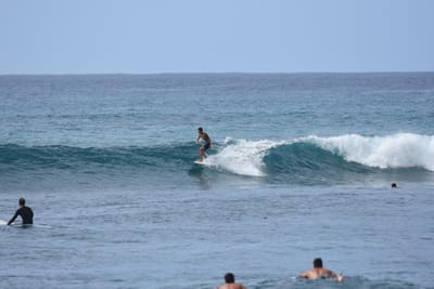 DSC_0008.JPG