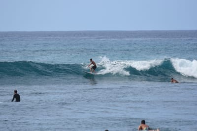 DSC_0010.JPG