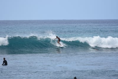 DSC_0015.JPG