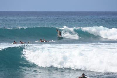 DSC_0033.JPG