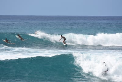 DSC_0042.JPG