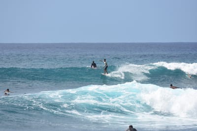 DSC_0050.JPG