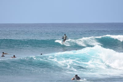 DSC_0051.JPG