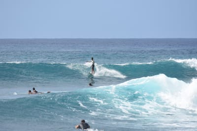DSC_0052.JPG